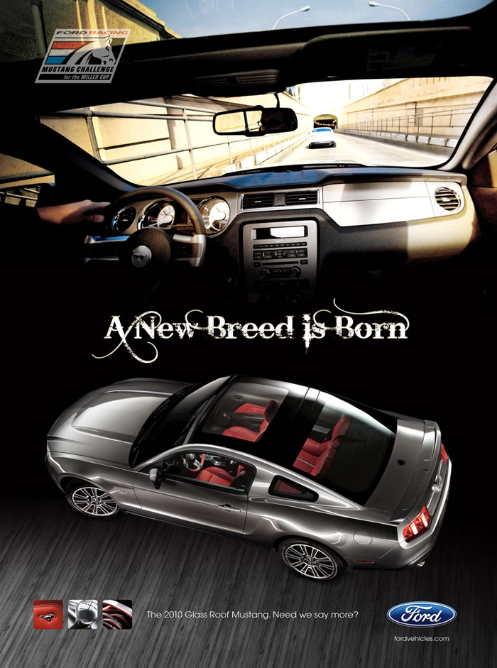 Mustang Advertisement