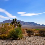 Paiute Desert